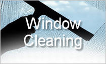 Window Cleaning